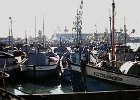 DSC00017_CT-Fischerboote.jpg