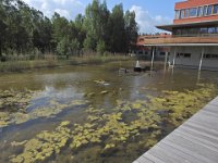 Dierhagen-Fischland-Darss-Zingst