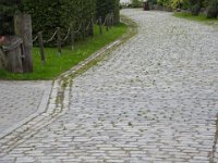 DSCN3054
