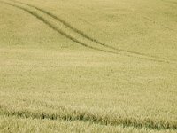 DSCN3063