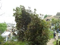 DSCN3091