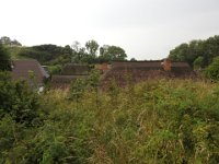 DSCN3092