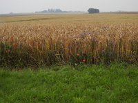 DSCN3099