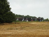 DSCN3102