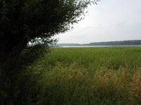 DSCN3110