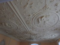DSCN3119