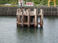 DSCN3202