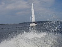 DSCN3264