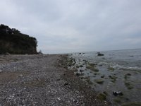 DSCN3295