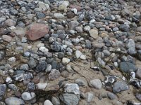 DSCN3301