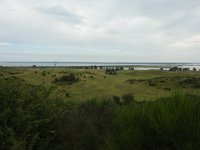 DSCN3314