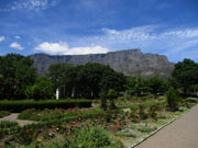 Bild Tafelberg Kapstadt, Suedafrika